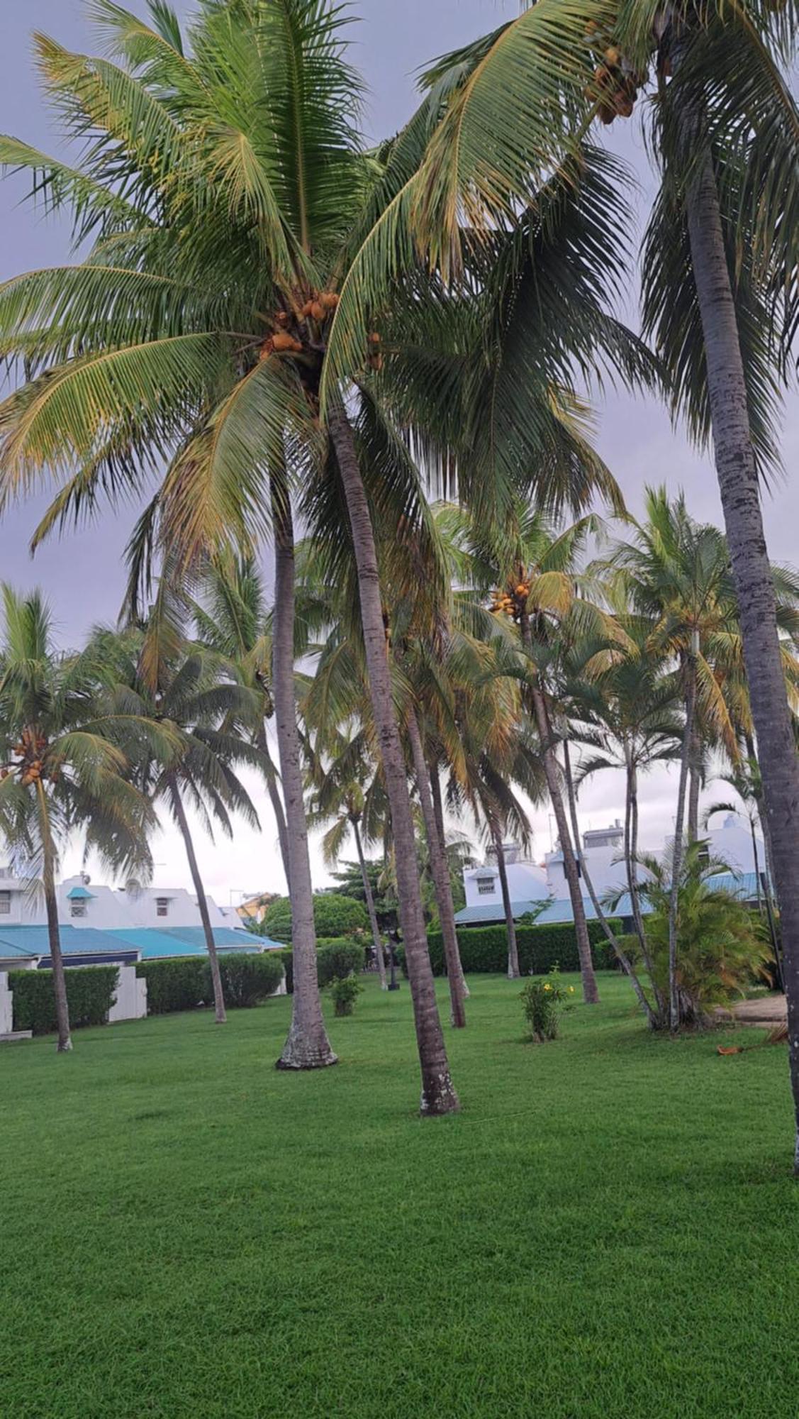 Peaceful And Private Villa Grand Baie Exterior photo